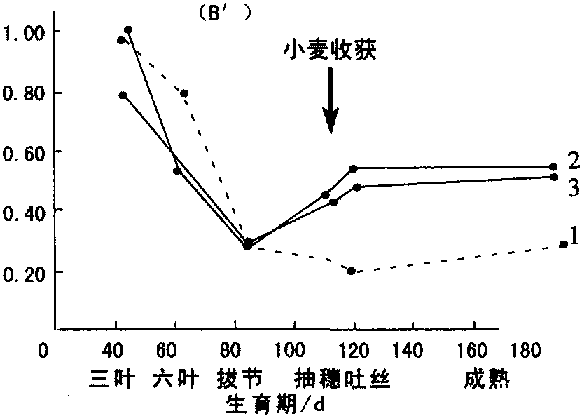 小麥/玉米帶田中光捕獲、利用及干物質(zhì)積累特點(diǎn)